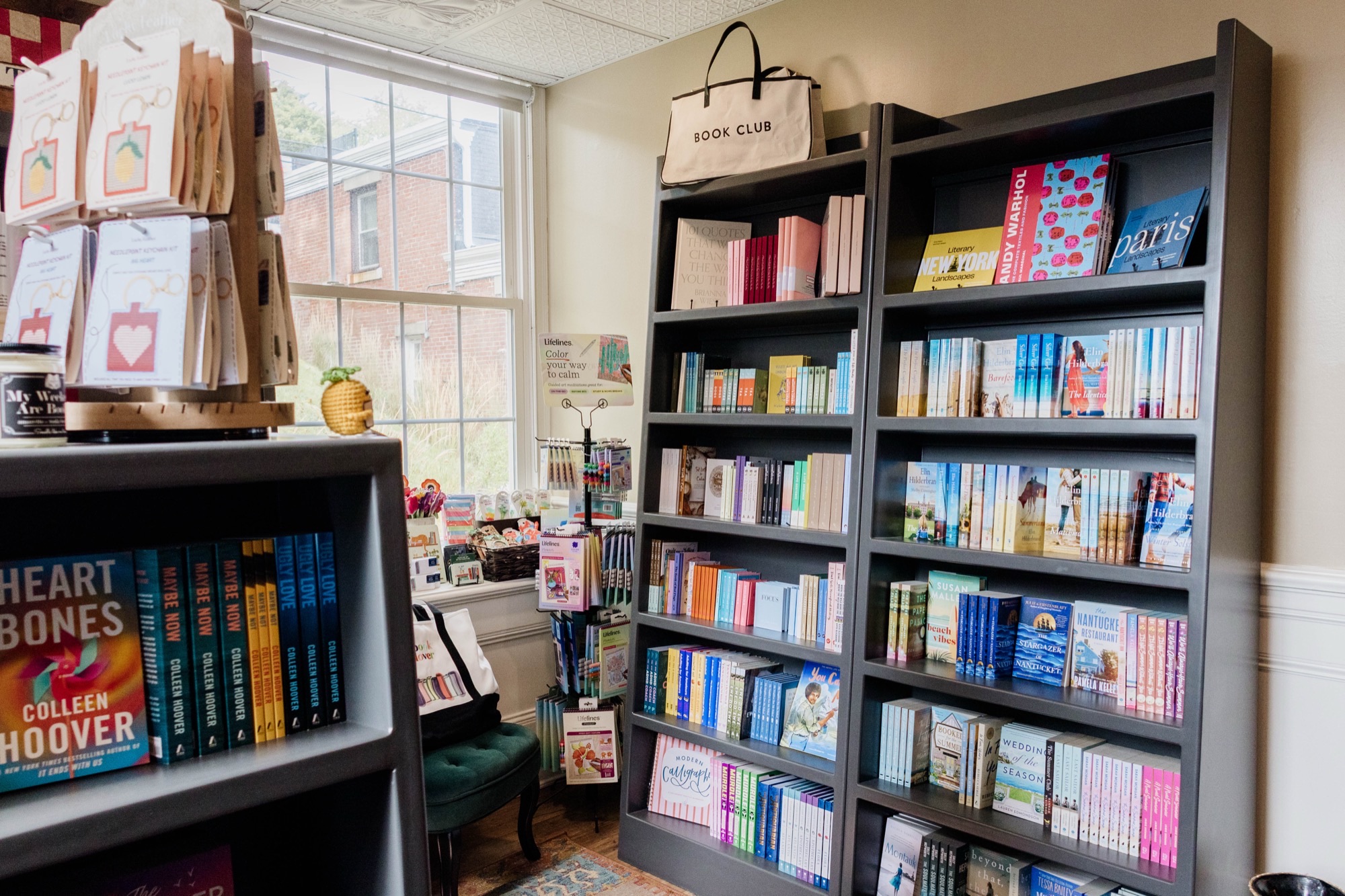Book Nook shelves with a view out the window